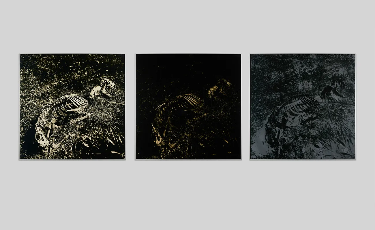 Hiromichi Matsudaira: Zen and the Art of Darkroom Creation