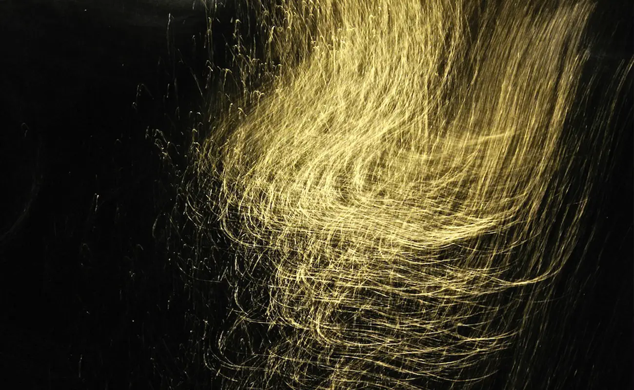 Hans Fleischner: Breathing Pictures, Living Pages