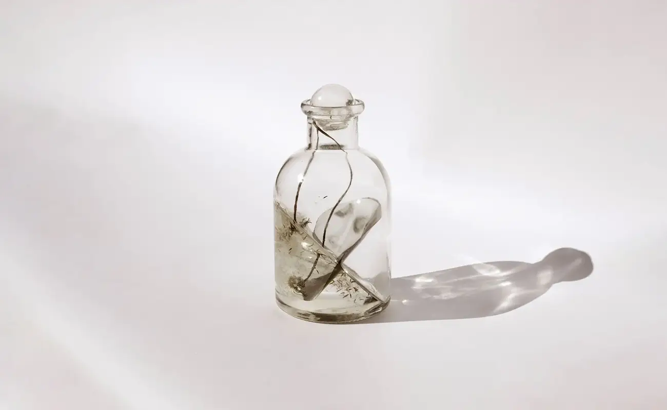 Biljana Petreska: When Presence Leaves a Visible Trace