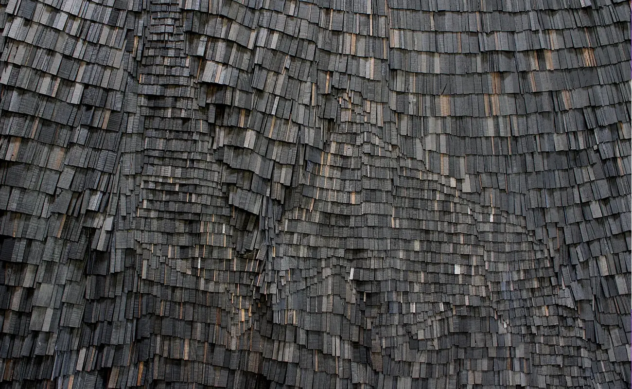 Wycliffe Stutchbury: Editing Nature into Form