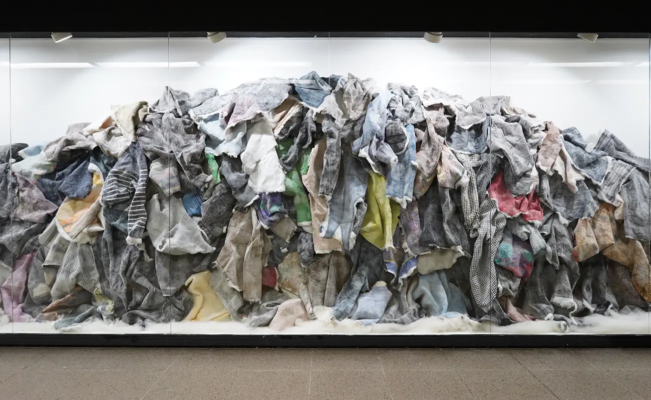 Tomohiro Shibuki: Soft Forms, Lasting Connections