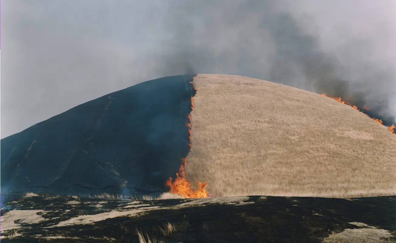 Rinko Kawauchi: Seeing the Sacred in Everyday Light